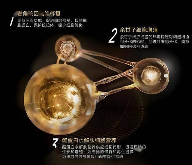 xm外汇官网开户技术赋能绿色推动 中国为全球探新路